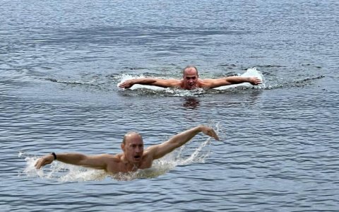 Заплыв баттерфляем Ладыкова сравнили с Путиным: голосование на телеграмм-канале