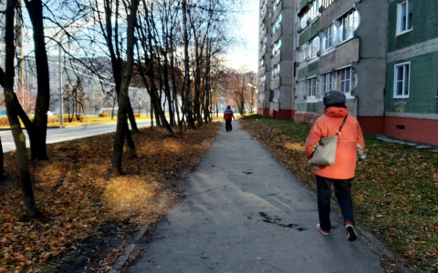 Некоторые жители Чувашии могут получить два дополнительных оплачиваемых выходных