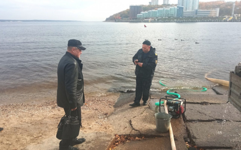 В Волгу выпустили более 210 тысяч мальков сазана и стерляди