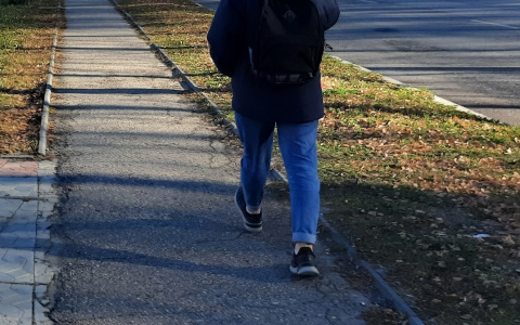 Чебоксарец за день отдал более 900 тысяч рублей