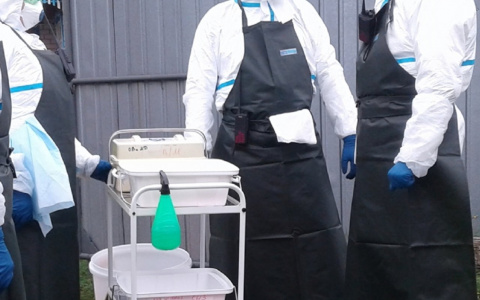 Власти Чувашии сообщили, сколько колбасы придется уничтожить из-за африканской чумы свиней