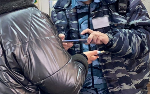 Власти готовят законы об обязательных QR-кодах в транспорте, кафе и магазинах