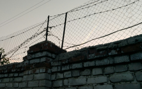 Жителя Чувашии отправят в колонию: он ударил приятеля в лицо, а тот скончался в сарае