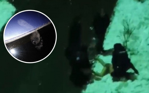 В Новочебоксарске дебошир в одних трусах бегал по машинам и нападал на людей