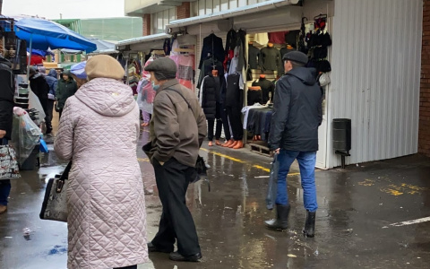 В Чувашии готовы к проекту по новым QR-кодам, но до сих пор не установлено, сколько нужно антител для его получения