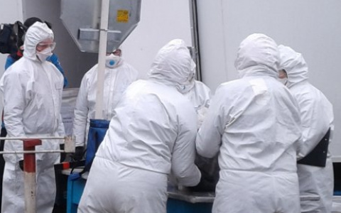 Госветслужба установила, откуда взялась африканская чума в чувашской колбасе