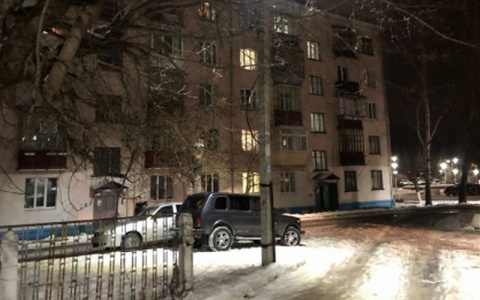 В Чебоксарах в пожаре погибла женщина: ее внук успел убежать к соседям