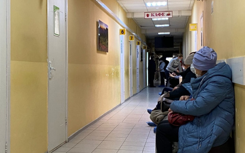 Чувашию назвали в десятке регионов, где показатель общей смертности снизился более чем на 15 %