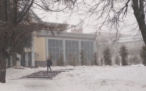 В Чувашии разбушуется порывистый ветер: МЧС объявило предупреждение