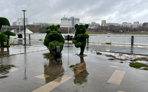 Чувашию заливает дождями: во вторник осадки продолжатся весь день