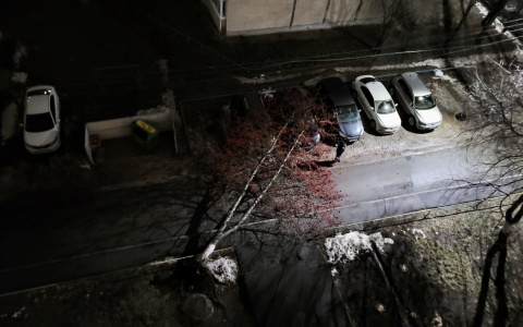 Ураган обошел Чувашию, но частично задел Чебоксары