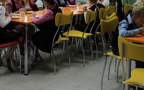 В Янтиковском районе школьные столовые нарушили санитарные нормы: сметана и сгущенка оказались просроченными