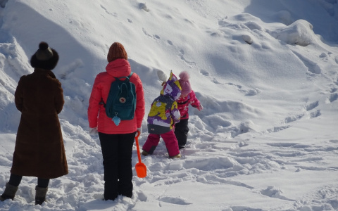 ЕР обсуждает новые меры поддержки семей с детьми