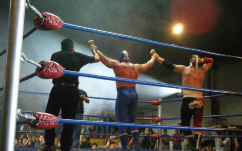 Wink в прямом эфире покажет силу удара и ловкость рук лучших кулачных бойцов TOP DOG