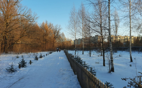 Синоптики Чувашии выпустили прогноз погоды на последний день недели