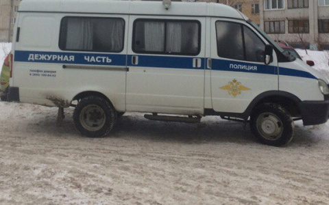 В Чувашии нашли сбежавшую 9-летнюю девочку: ребенка искали всю ночь