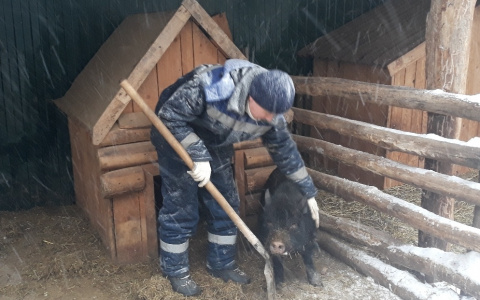 В Чувашии может появиться первый крытый зоопарк с "африканскими саваннами"