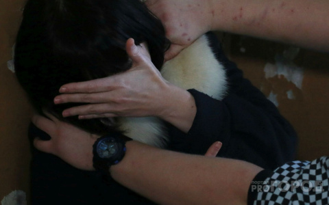 Житель Чувашии затащил соседку в дворовую постройку и изнасиловал