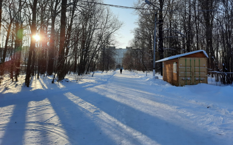 Синоптики рассказали, какая погода ждет жителей Чувашии в этот четверг