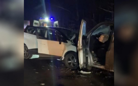 Четверо жителей Чувашии пострадали в смертельном ДТП под Лысково
