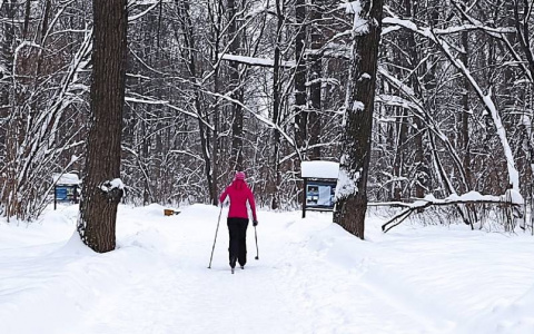 В 2022 году в России можно получить налоговый вычет за спорт и фитнес