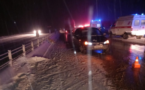 В Цивильском районе на трассе М-7 водитель иномарки сбил трех человек: есть погибший