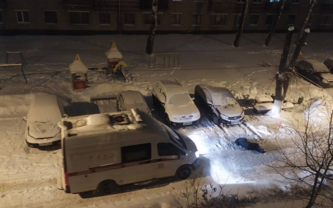 Под утро новочебоксарец увидел у себя во дворе лежащего на снегу мужчину: “Сколько он там лежал - непонятно”