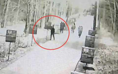 Как суд наказал парня, разбившего портреты десантников в Новочебоксарске