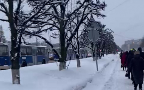 Что произошло с троллейбусами в Новоюжном районе, и когда восстановят обычное движение