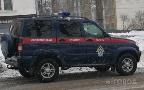 Чебоксарский подросток укусил и ударил в грудь полицейского