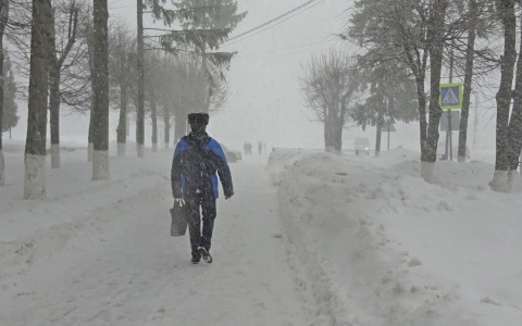 Вместе с потеплением в Чувашию идут метели
