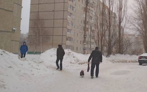 Сугробы продолжат расти: на этой неделе Чувашию накроют снегопады с метелями