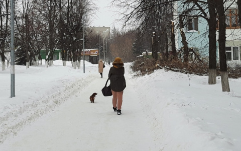 После снегопадов и морозов в Чувашии возможна оттепель