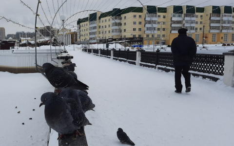 В Чувашии решили признавать малоимущими быстрее на 10 дней