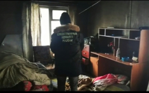 В выходные в Канаше зарезали мужчину и переломали ребра его защитнице