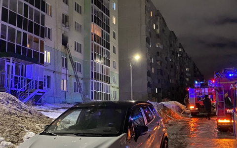 В чебоксарской десятиэтажке горит квартира