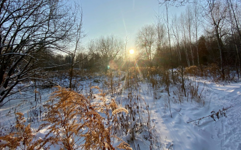 Синоптики рассказали, какая погода ждет жителей Чувашии в это воскресенье