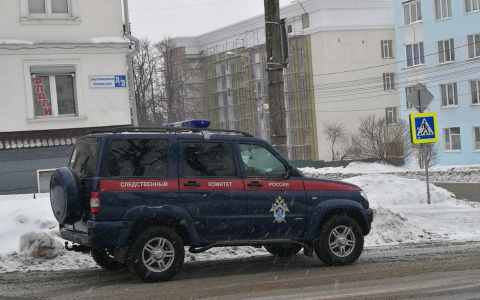 Следователи проверяют сразу два случая падения снега на прохожих в Чувашии