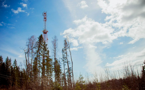 Устранение цифрового неравенства и 5G – итоги техразвития сети Tele2 в 2021 году