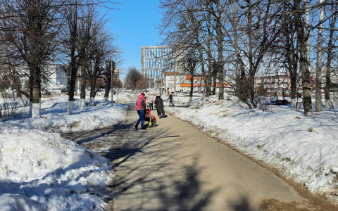 Снегопады заменят морозы в Чувашии уже на выходных