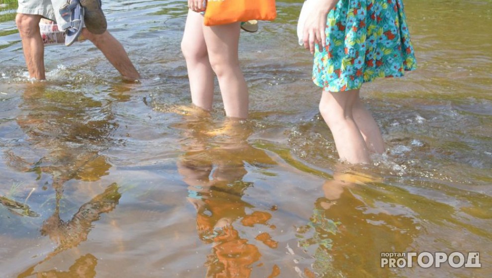 В деревне Чувашии сточные воды загрязняли местную речку В деревне Чувашии сточные воды загрязняли местную речку