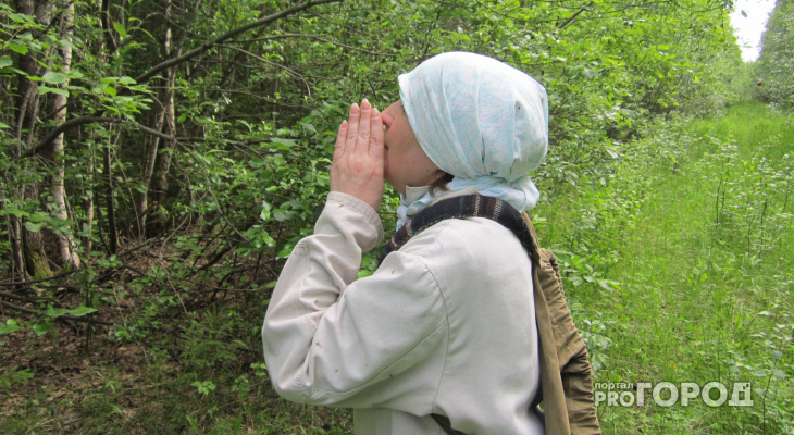 В заволжских лесах пропала женщина, которая ушла за клюквой