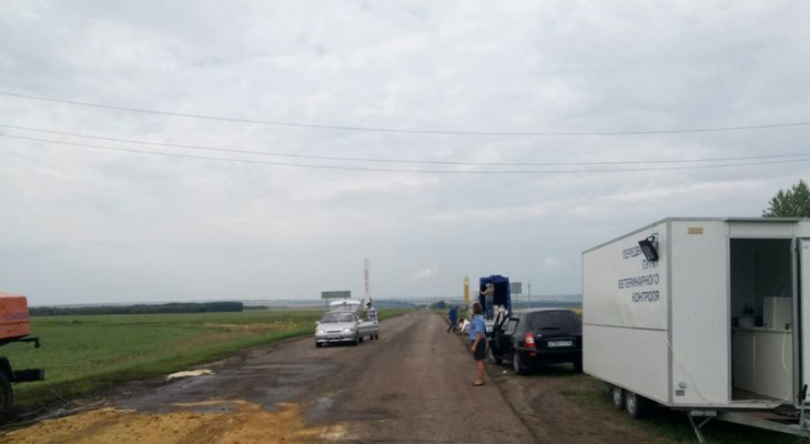 Выезжающие из Чувашии в Татарстан машины останавливают ветеринары и полицейские