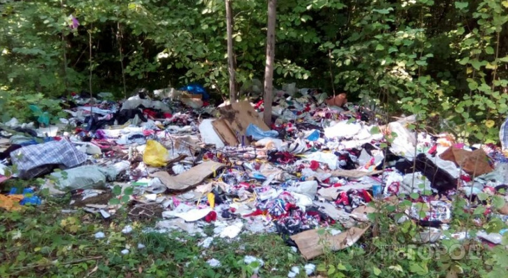 В Чебоксарском районе неизвестные выбросили текстильно-строительный мусор в лесополосу