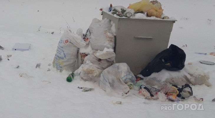 Часть жителей Чувашии могут получать компенсацию за оплату вывоза мусора