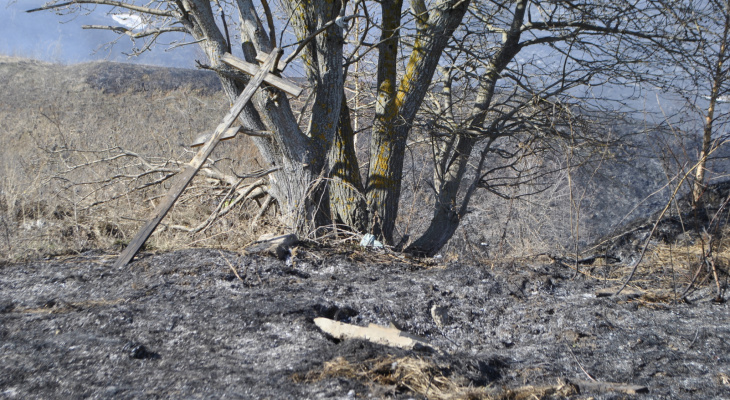 В Новочебоксарске обгорели более 50 могил