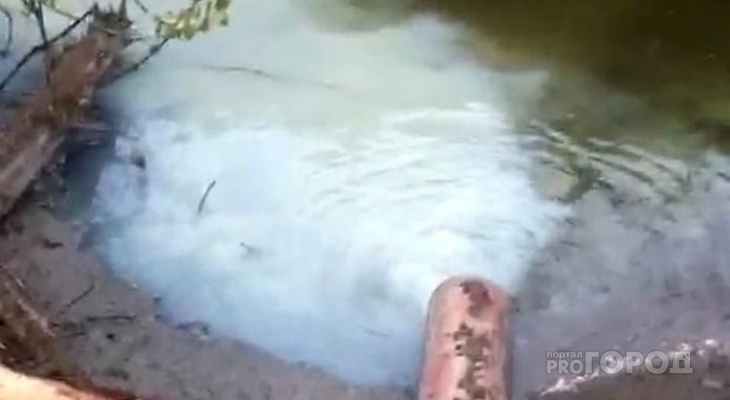 В Яльчикском районе течет молочная речка В Яльчикском районе течет молочная речка