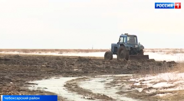 Россельхознадзор занялся птичьим пометом, который вывезли на чувашские поля Россельхознадзор занялся птичьим пометом, который вывезли на чувашские поля
