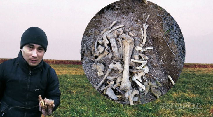 Скелет животного, найденный под Урмарами, заинтересовал археологов