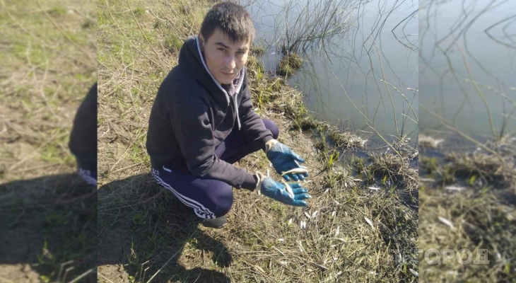 Дачник из Новочебоксарска нашел водоем с погибшей рыбой